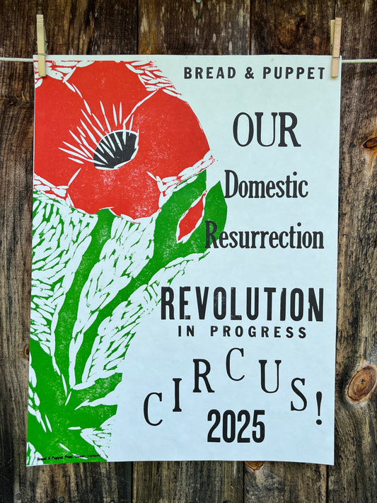 2025 Circus Poster - Revolution in Progress