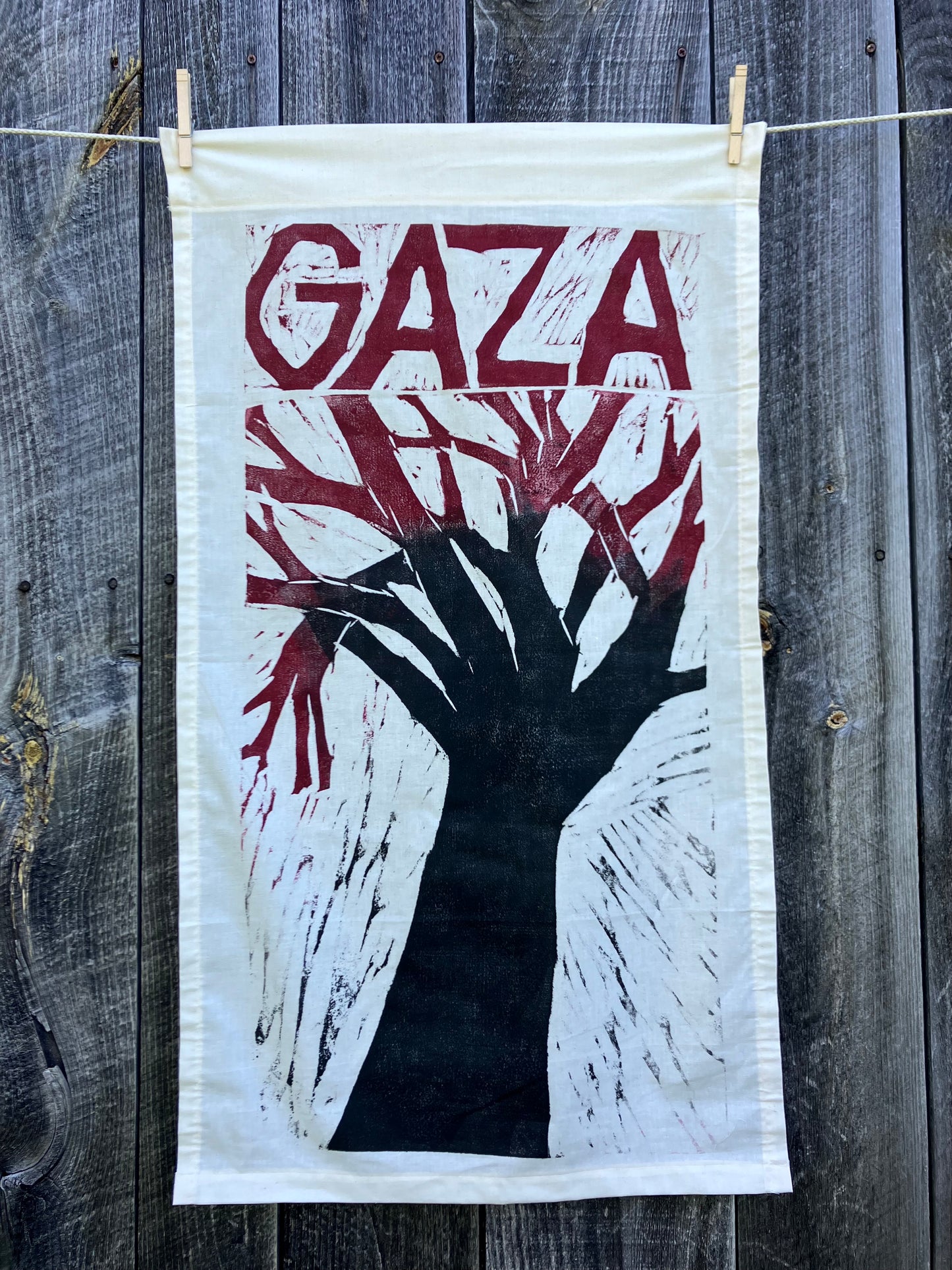 Gaza