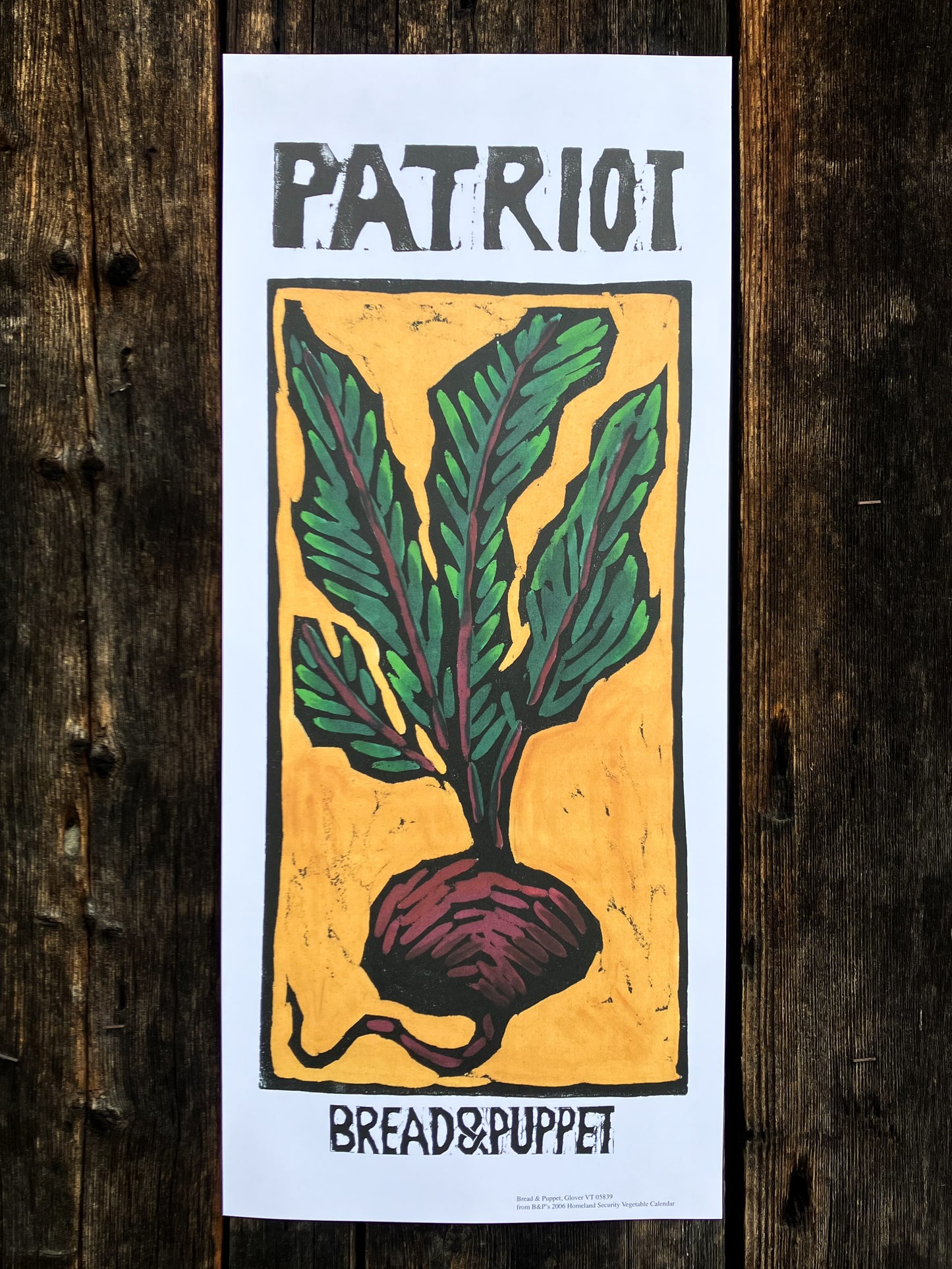 Vegetable Series: Patriot Beet Poster