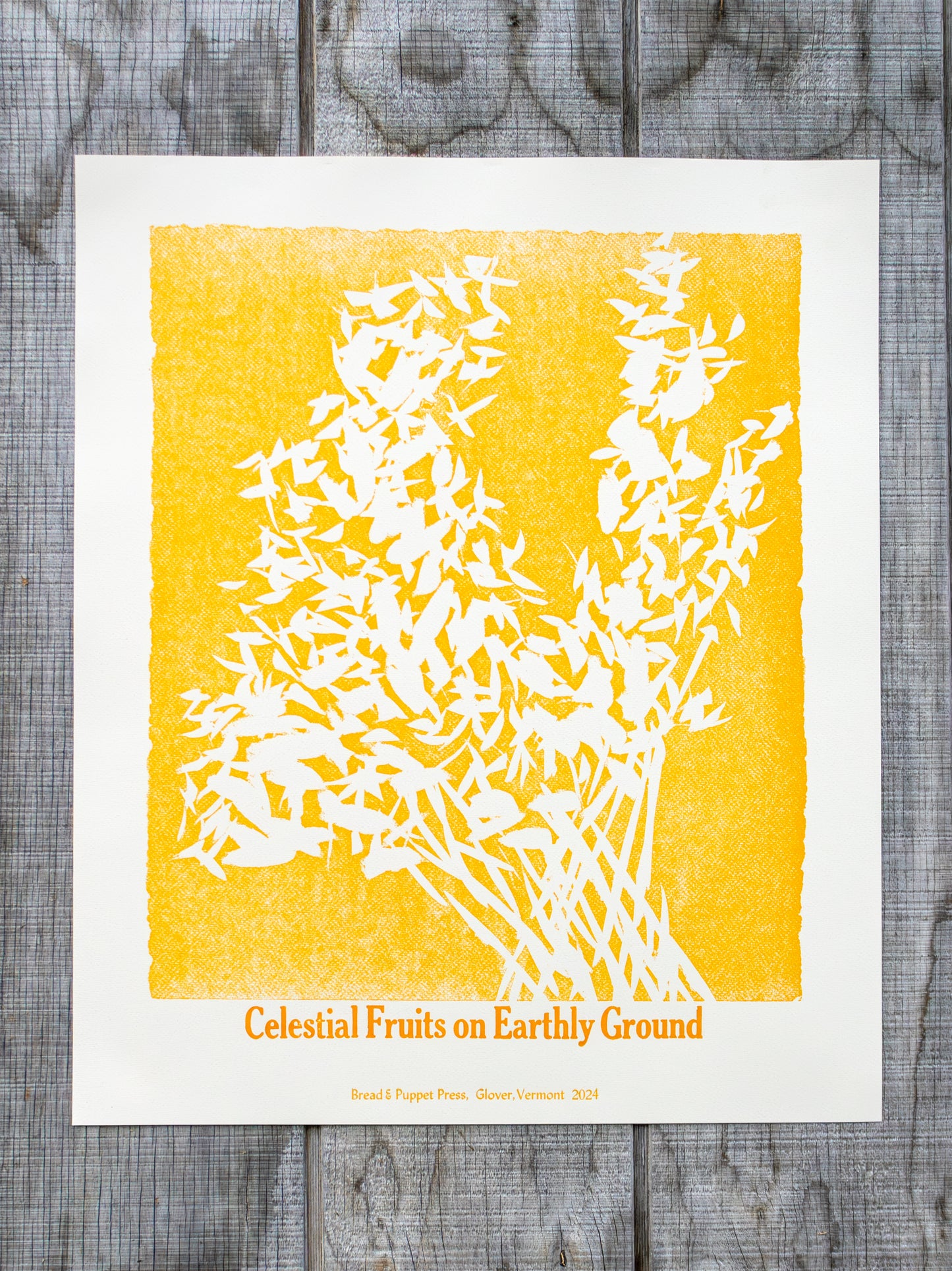 Shape Note Series 2024 Edition