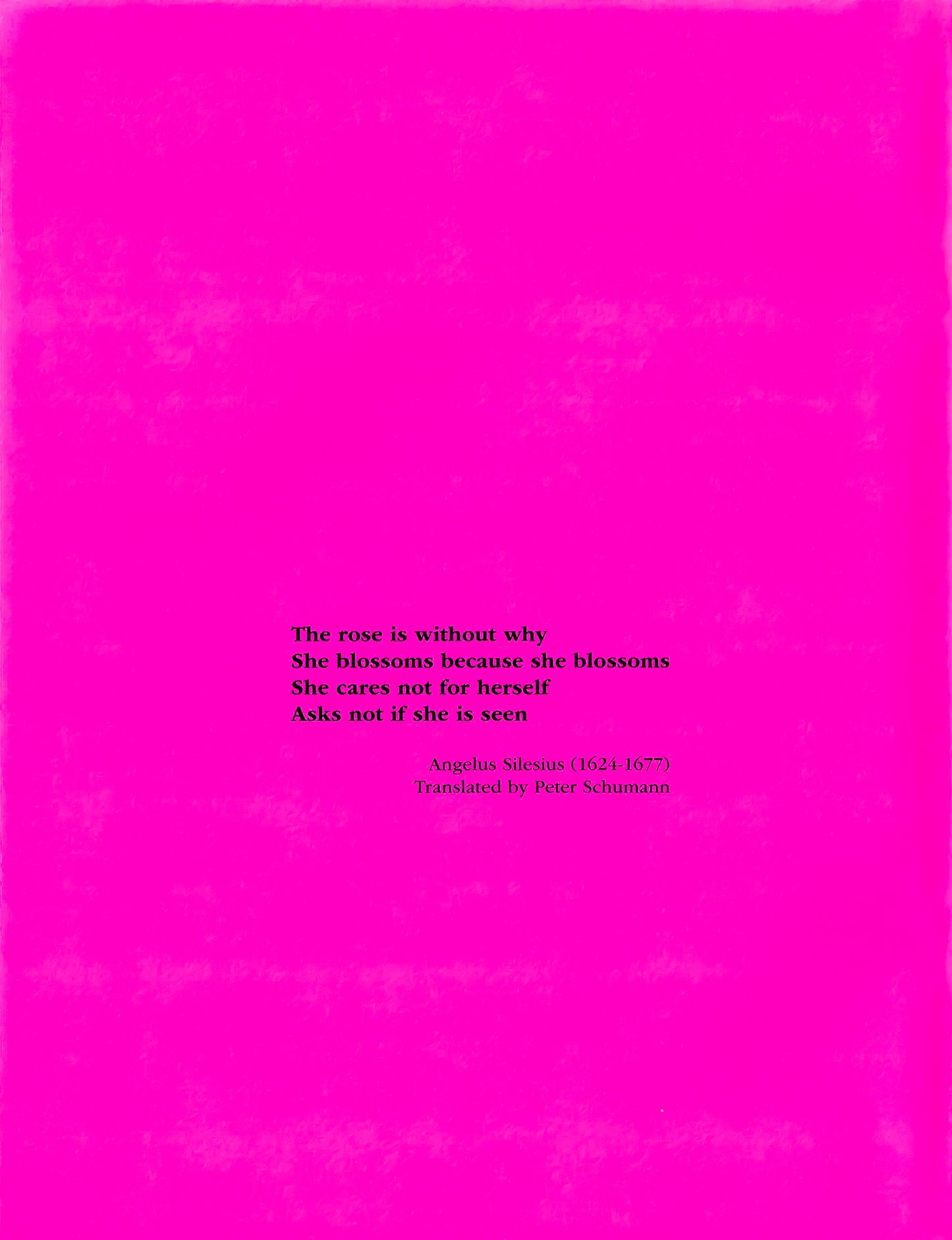 Bread and Puppet Flower Coloring Book