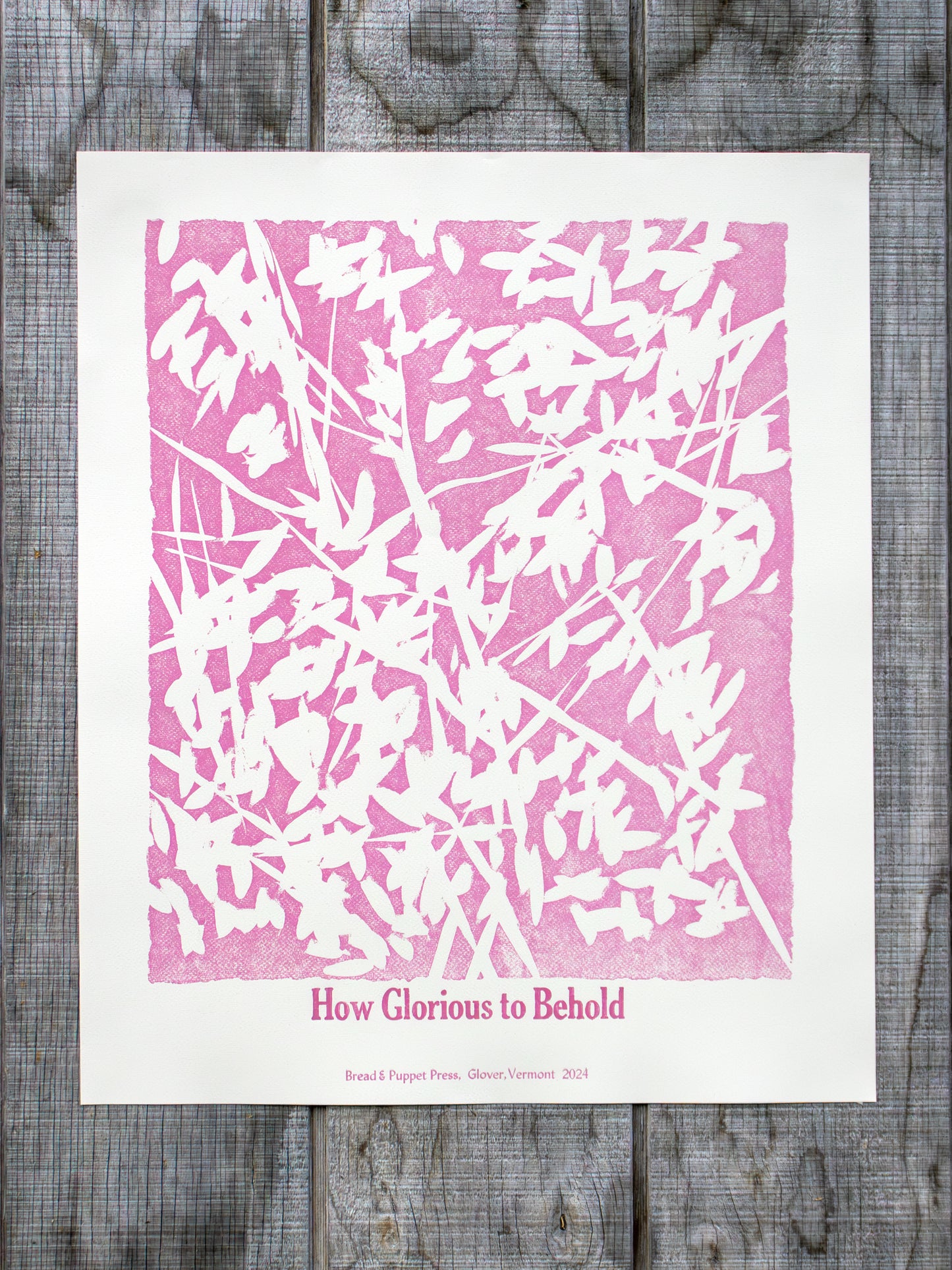 Shape Note Series 2024 Edition