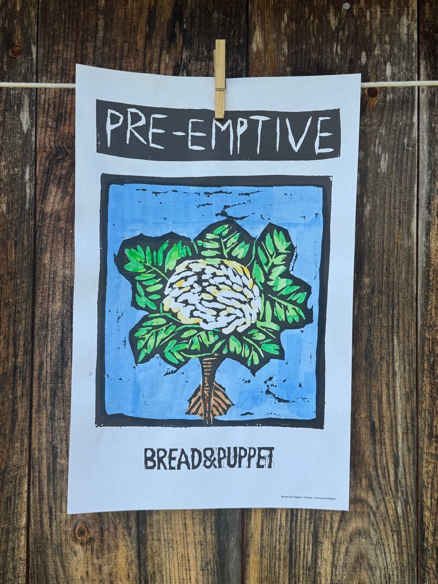Pre-Emptive Cauliflower