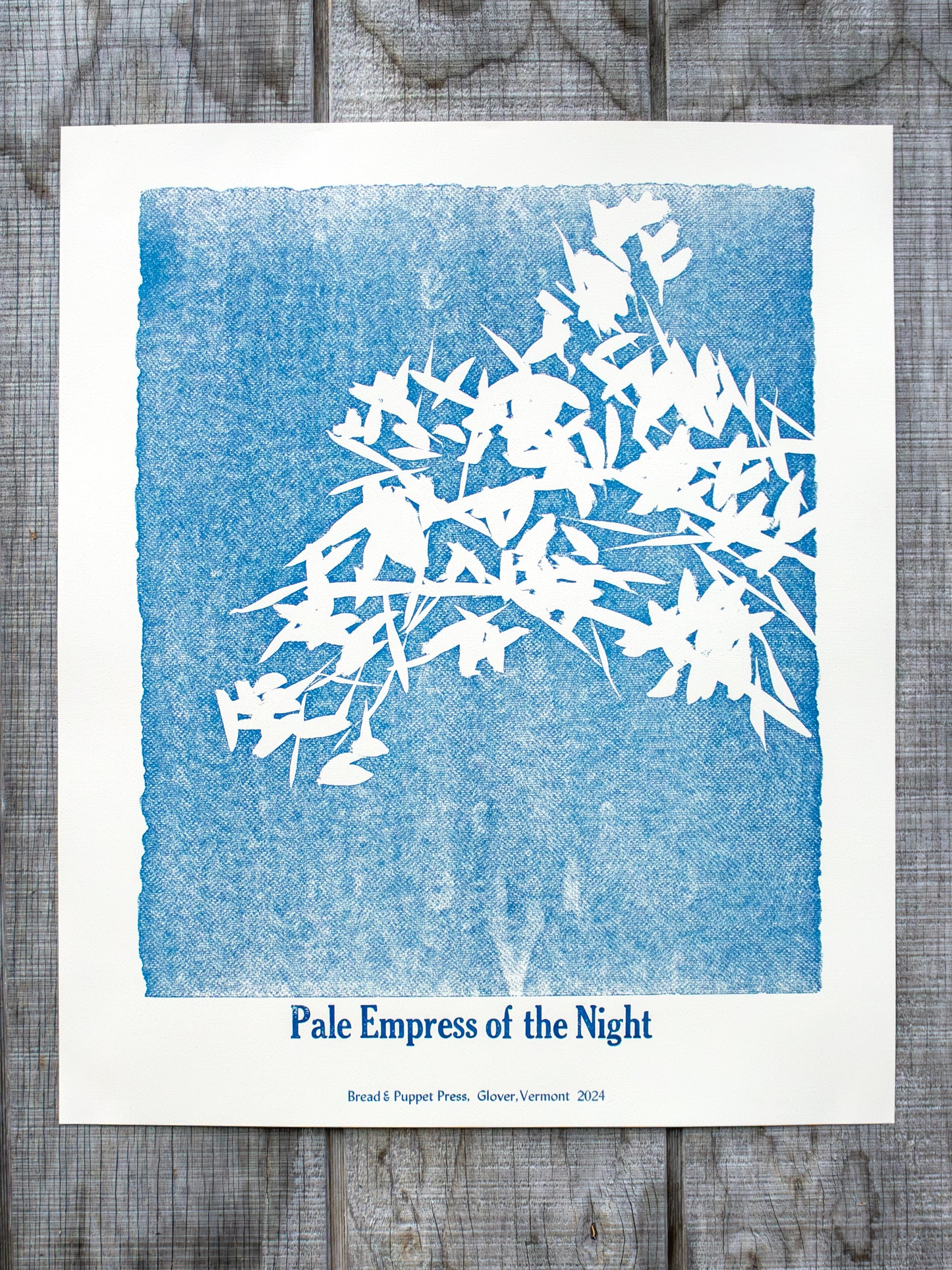 Shape Note Series 2024 Edition