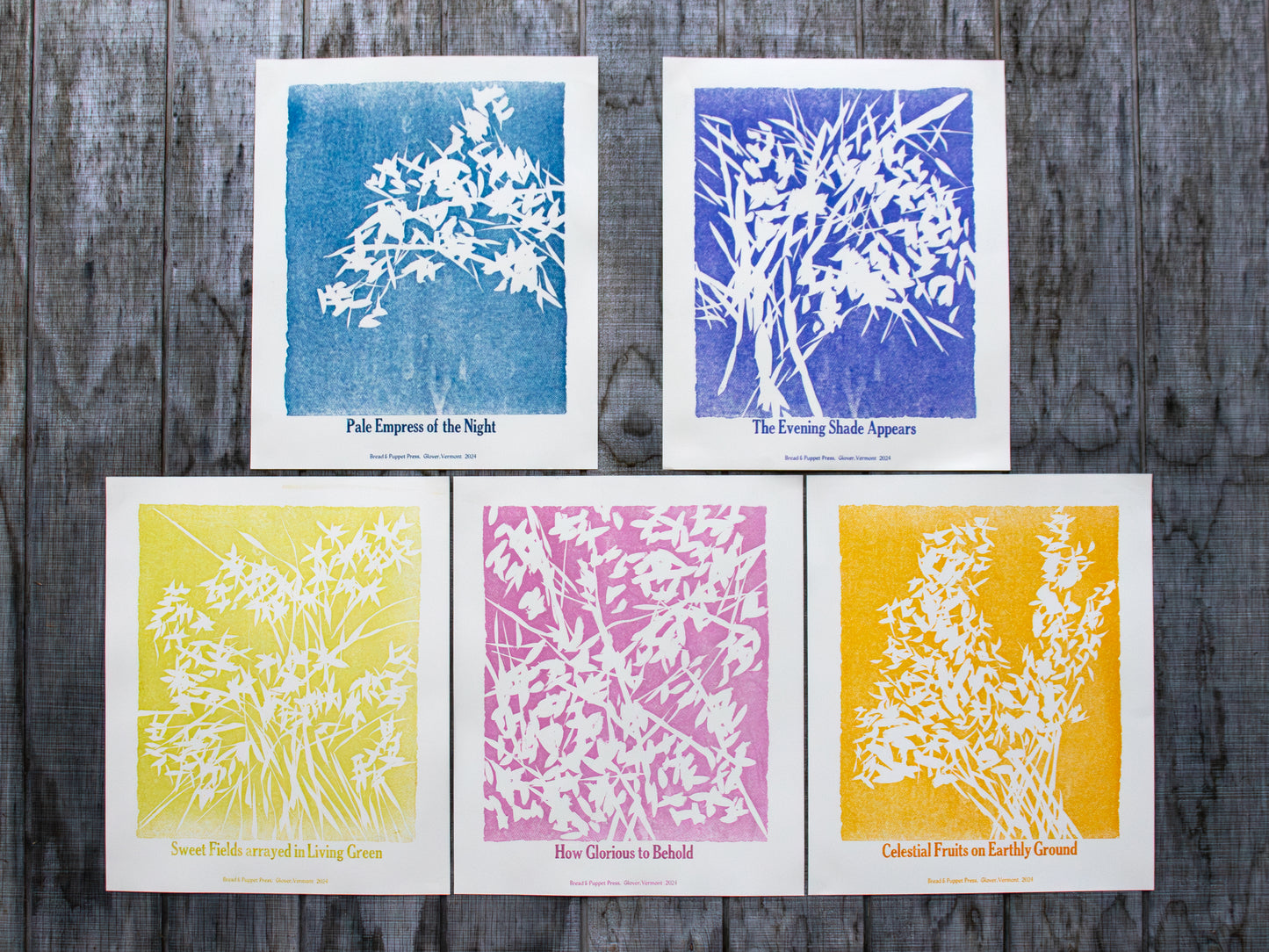 Shape Note Series 2024 Edition