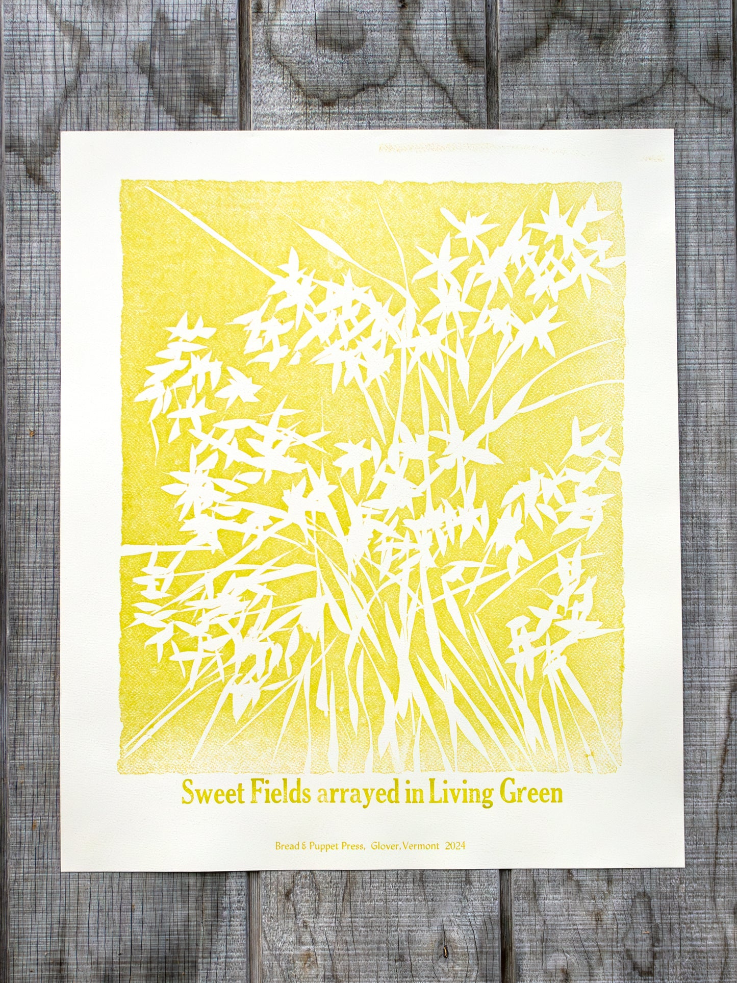 Shape Note Series 2024 Edition