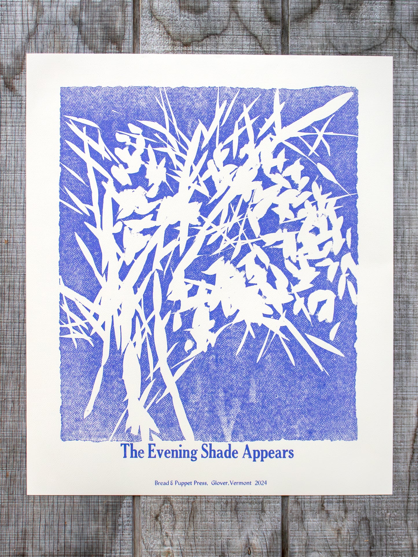 Shape Note Series 2024 Edition