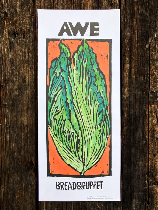 Vegetable Series: Awe Napa Cabbage Poster