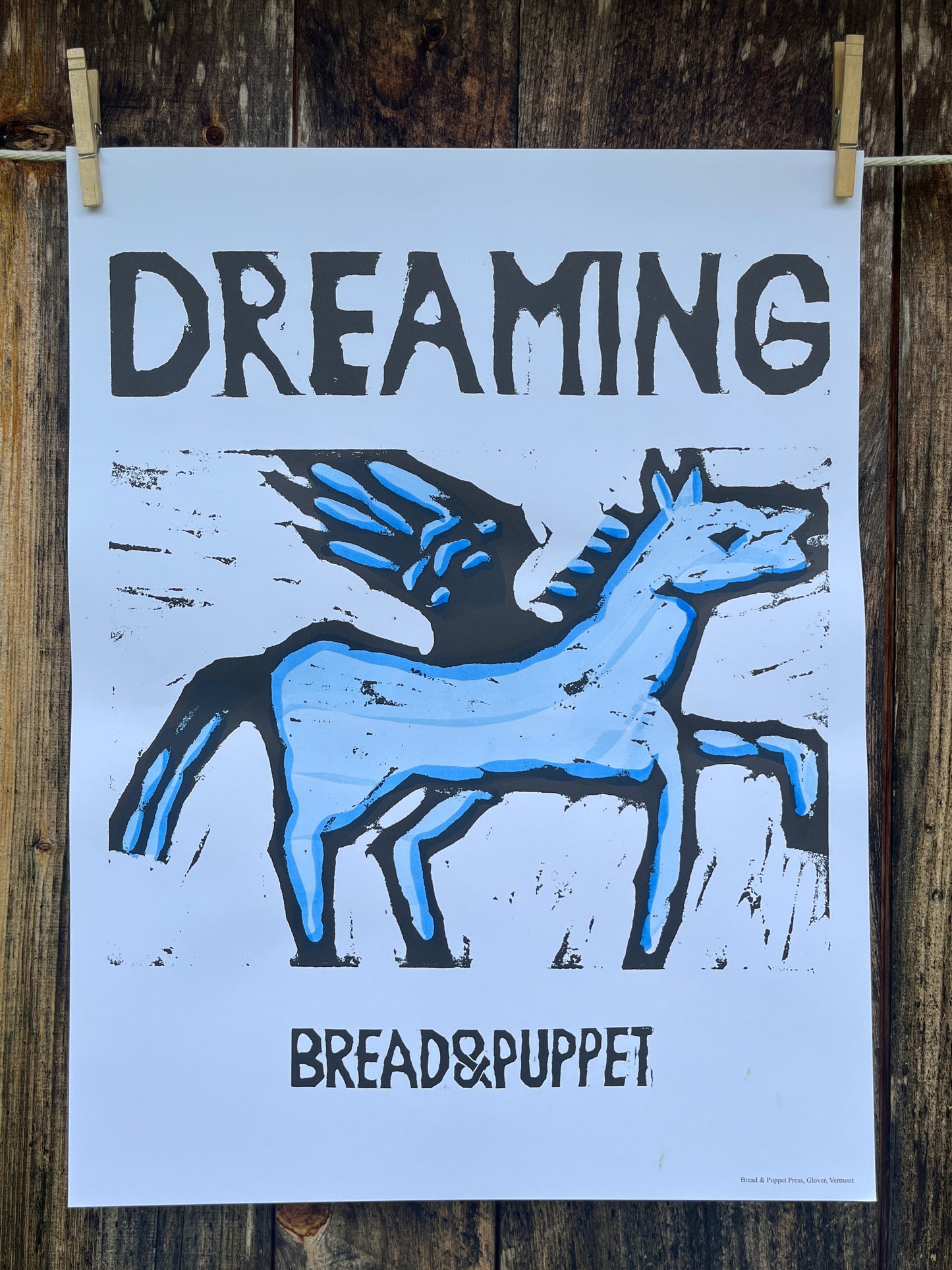 Dreaming Pony