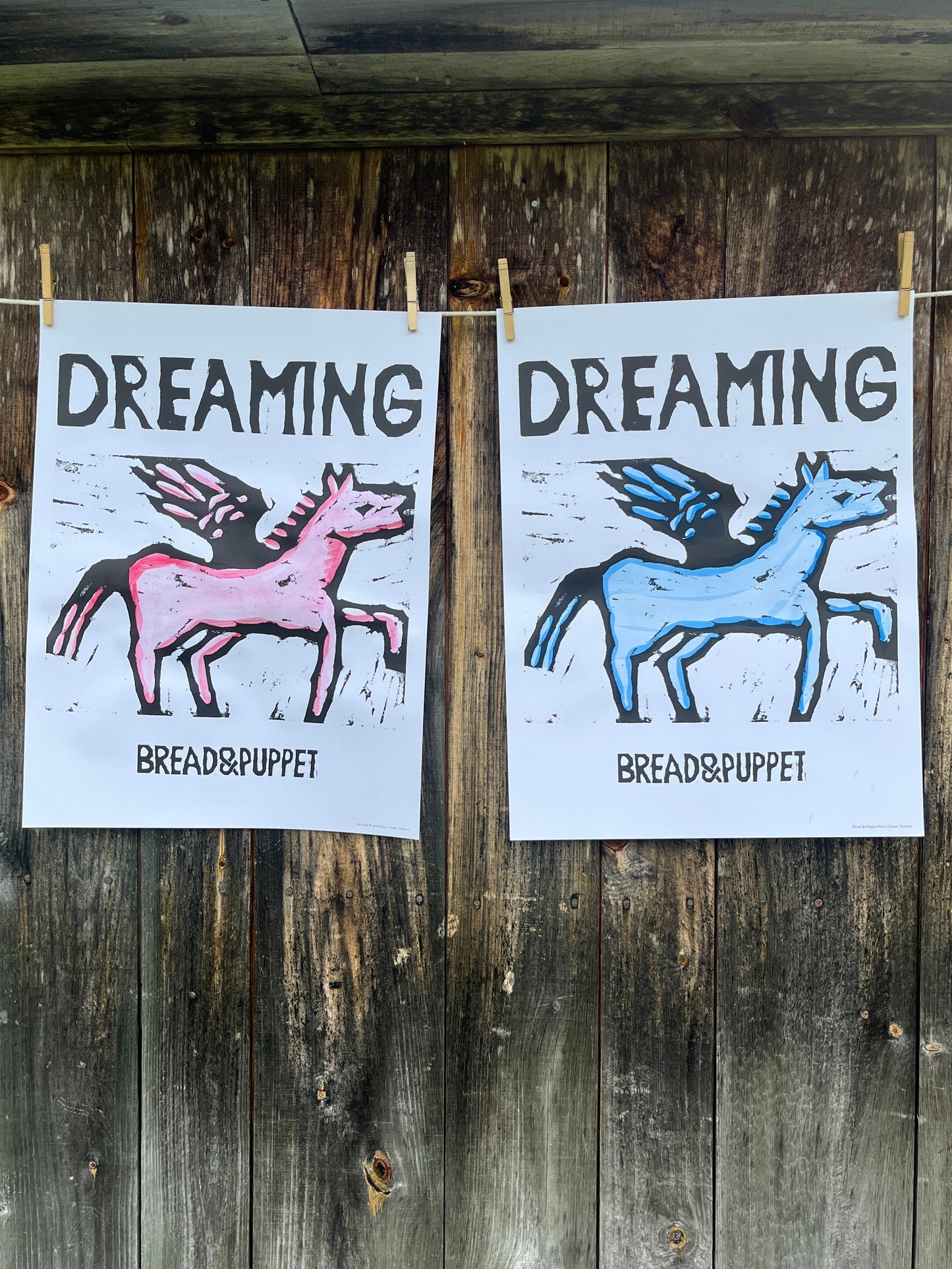 Dreaming Pony