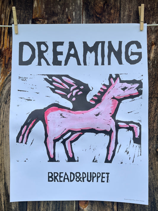 Dreaming Pony