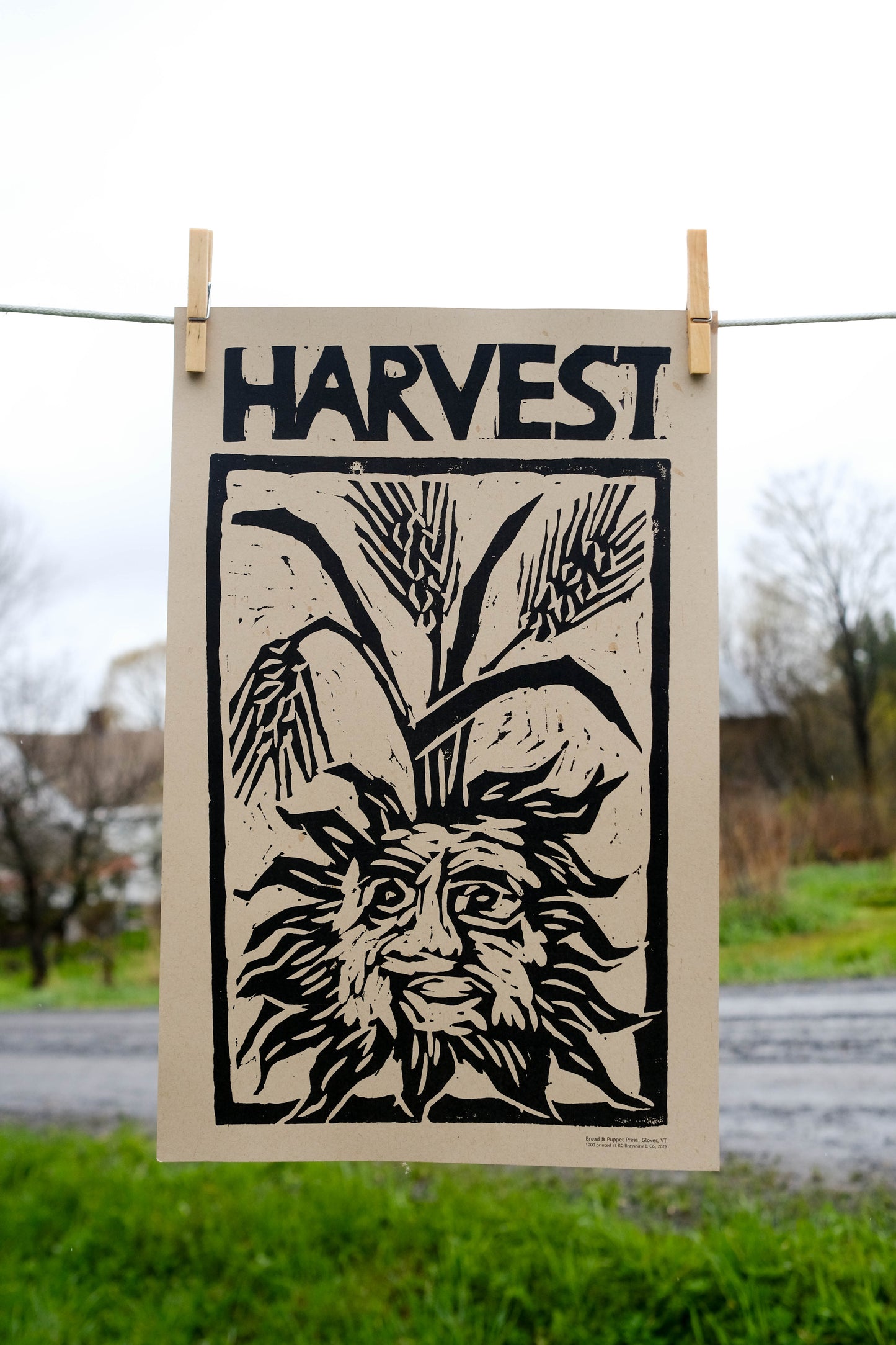 Grain Series: Harvest Poster
