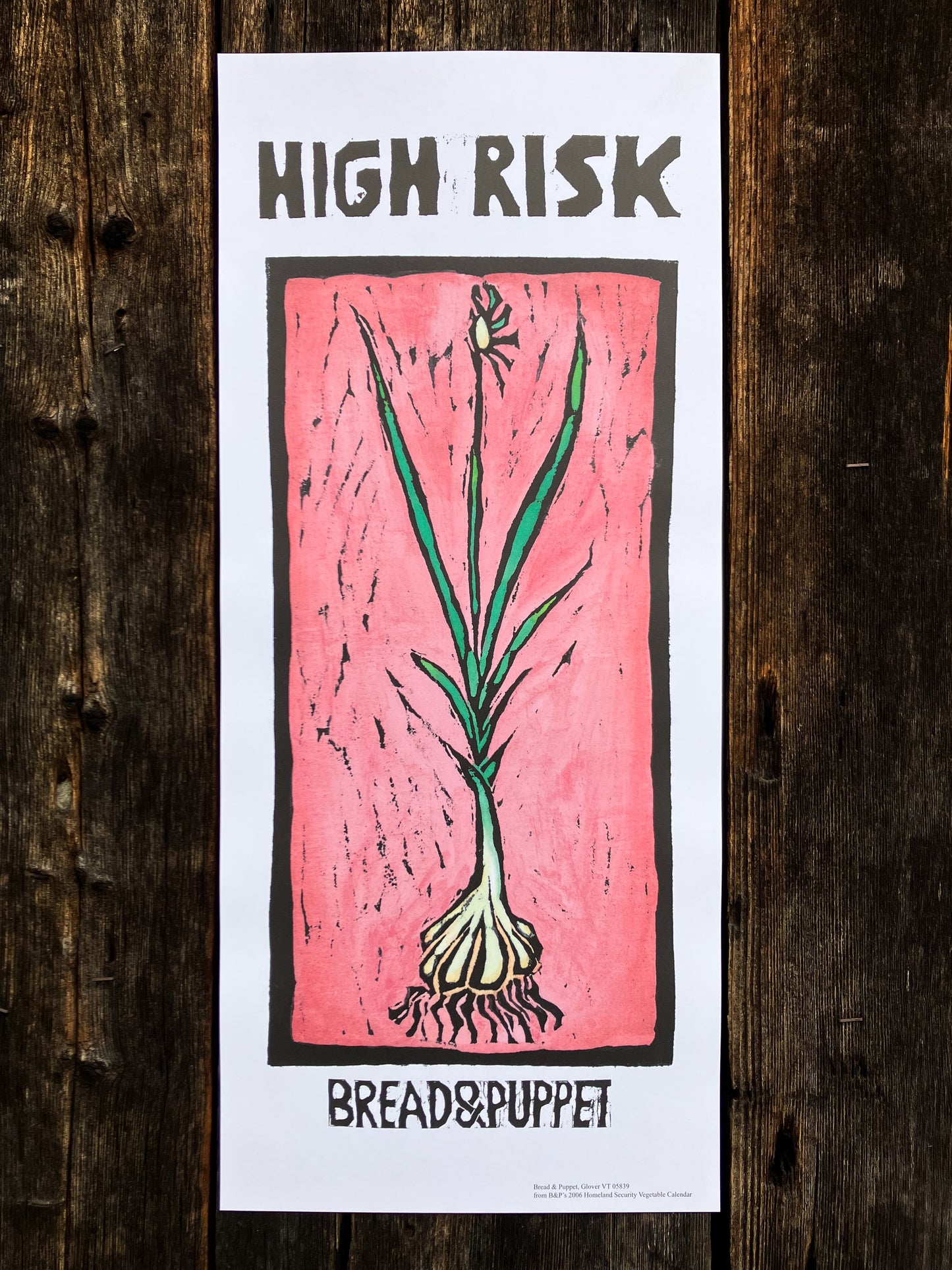Vegetable Series: High Risk Garlic Poster