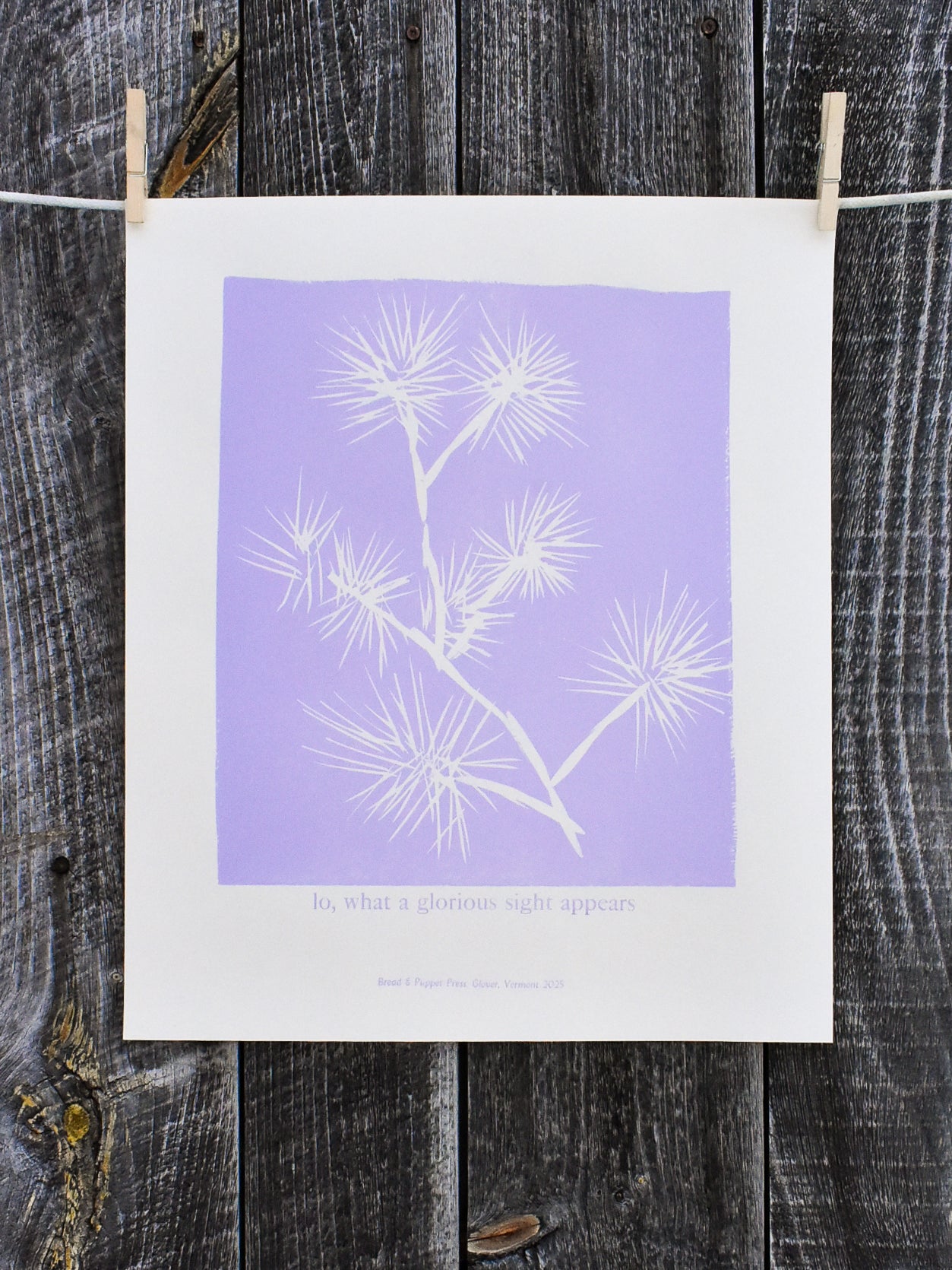 lo, what a glorious sight appears