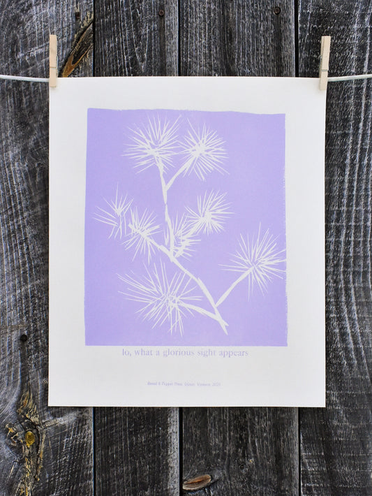 lo, what a glorious sight appears