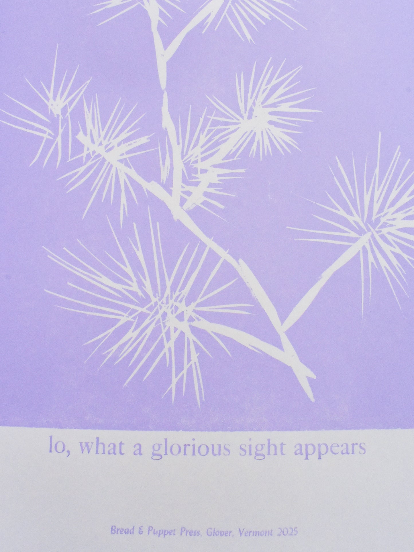 lo, what a glorious sight appears