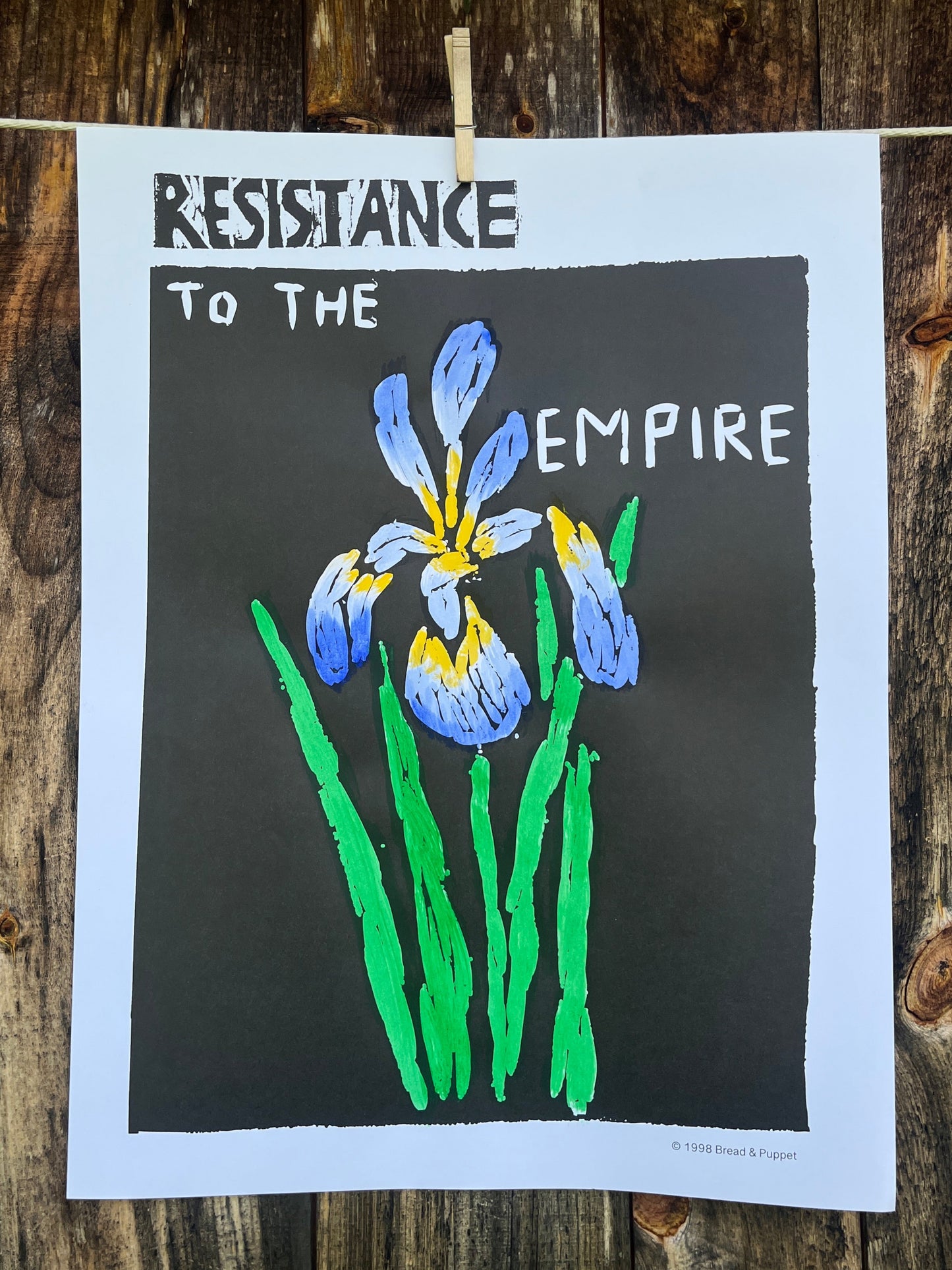 Resistance to the Empire