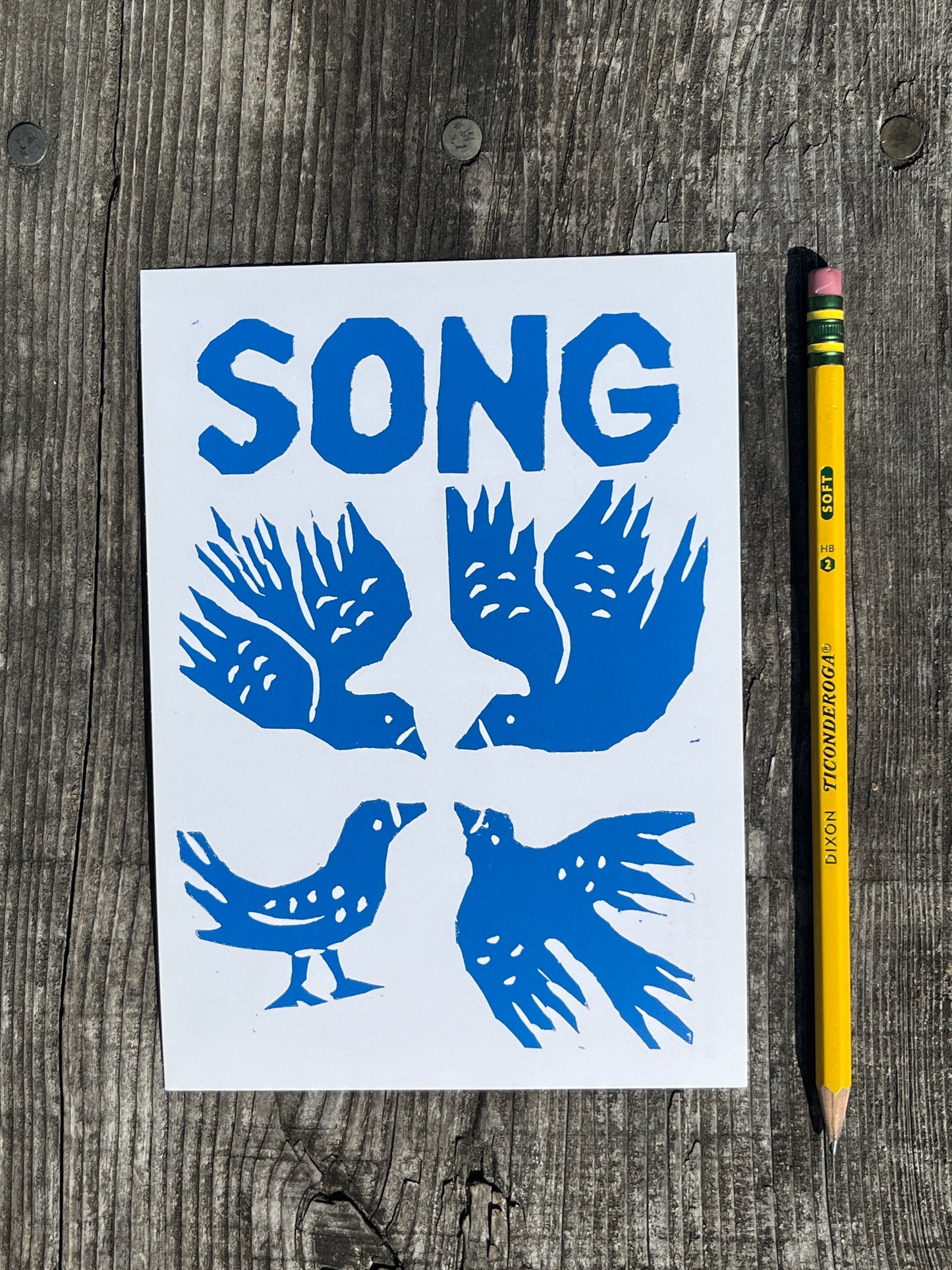 Blue bird illustrations on a white card with 'SONG' text, placed on a wooden surface with a pencil.