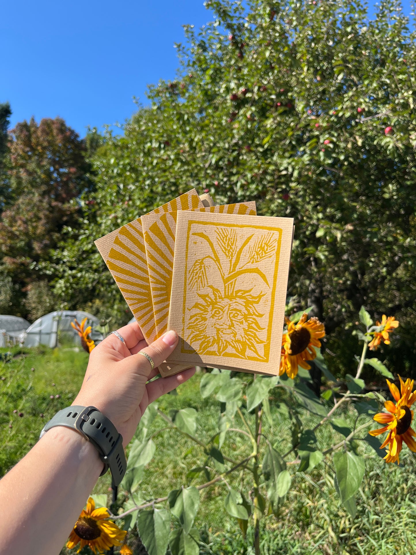 Sun Cards Set of 4