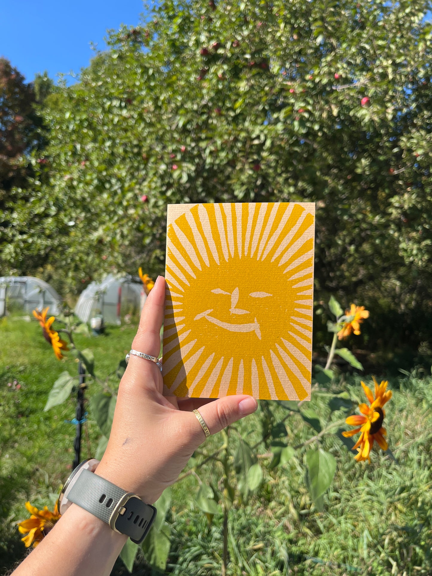 Sun Cards Set of 4