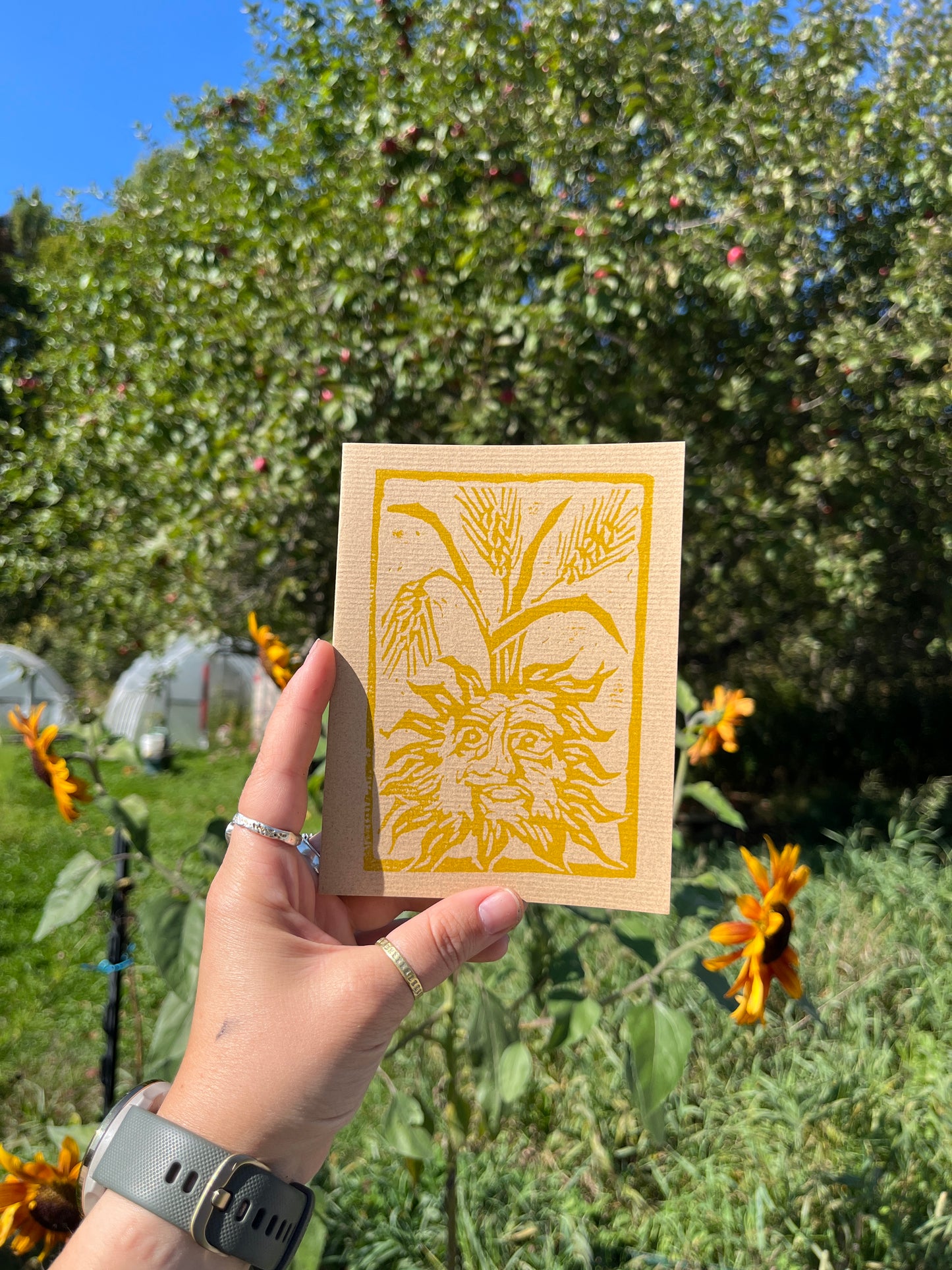 Sun Cards Set of 4