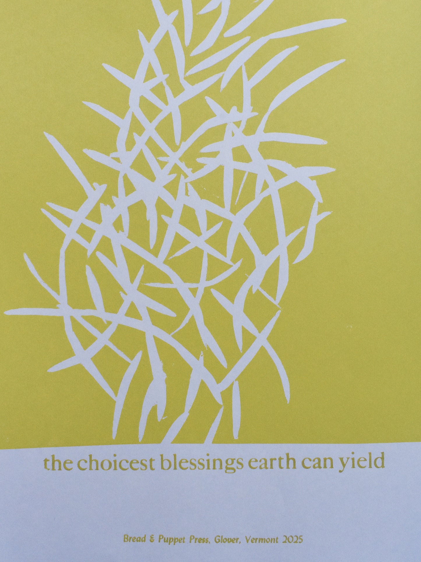 the choicest blessings earth can yield