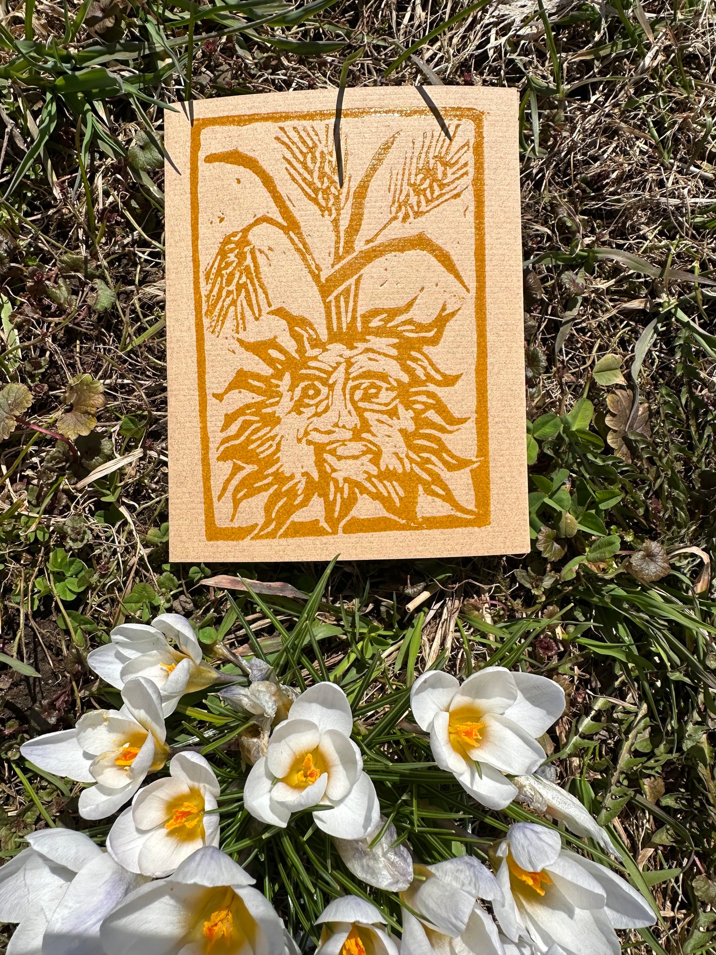 Sun Cards