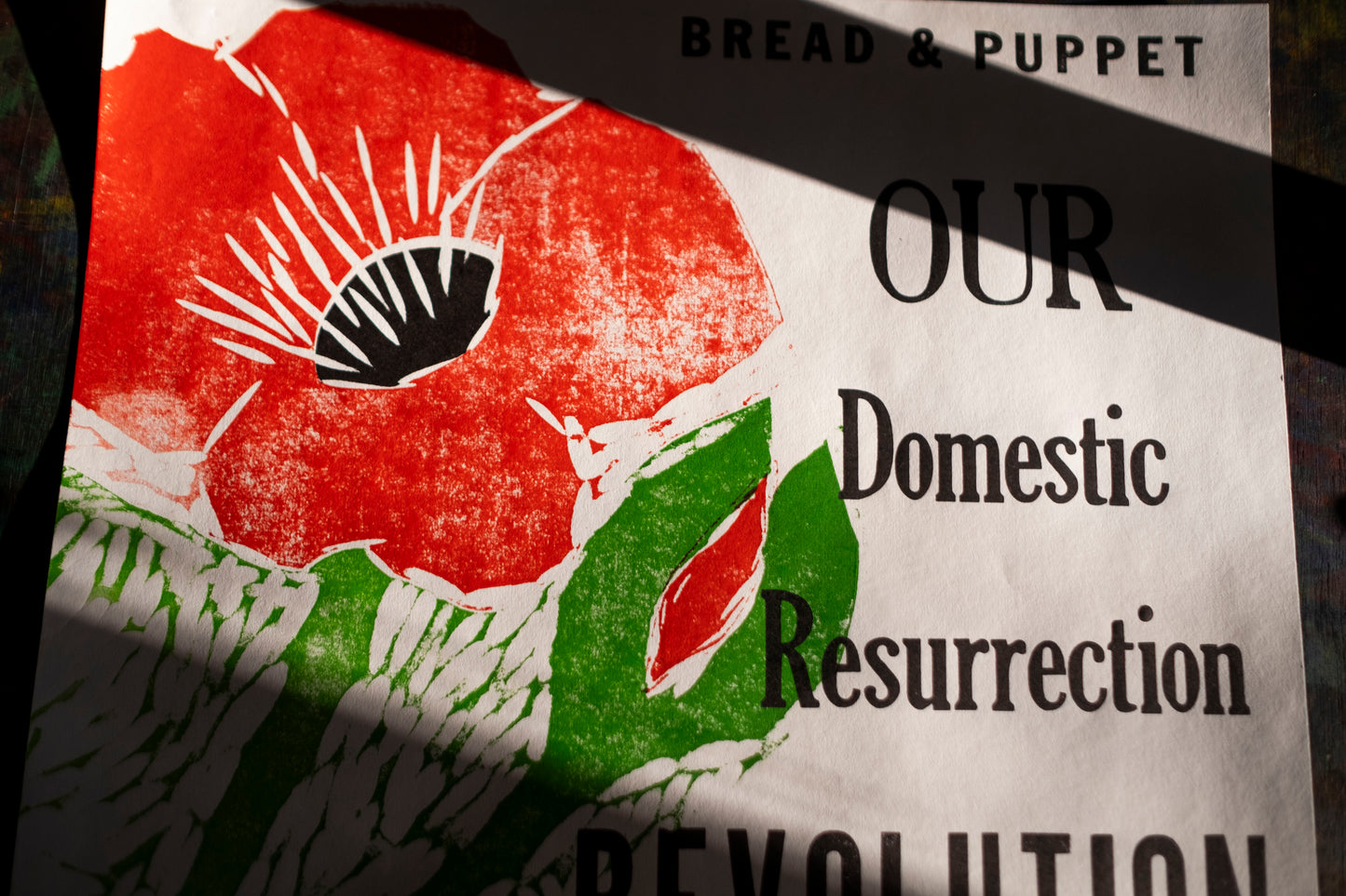 2025 Circus Poster - Revolution in Progress