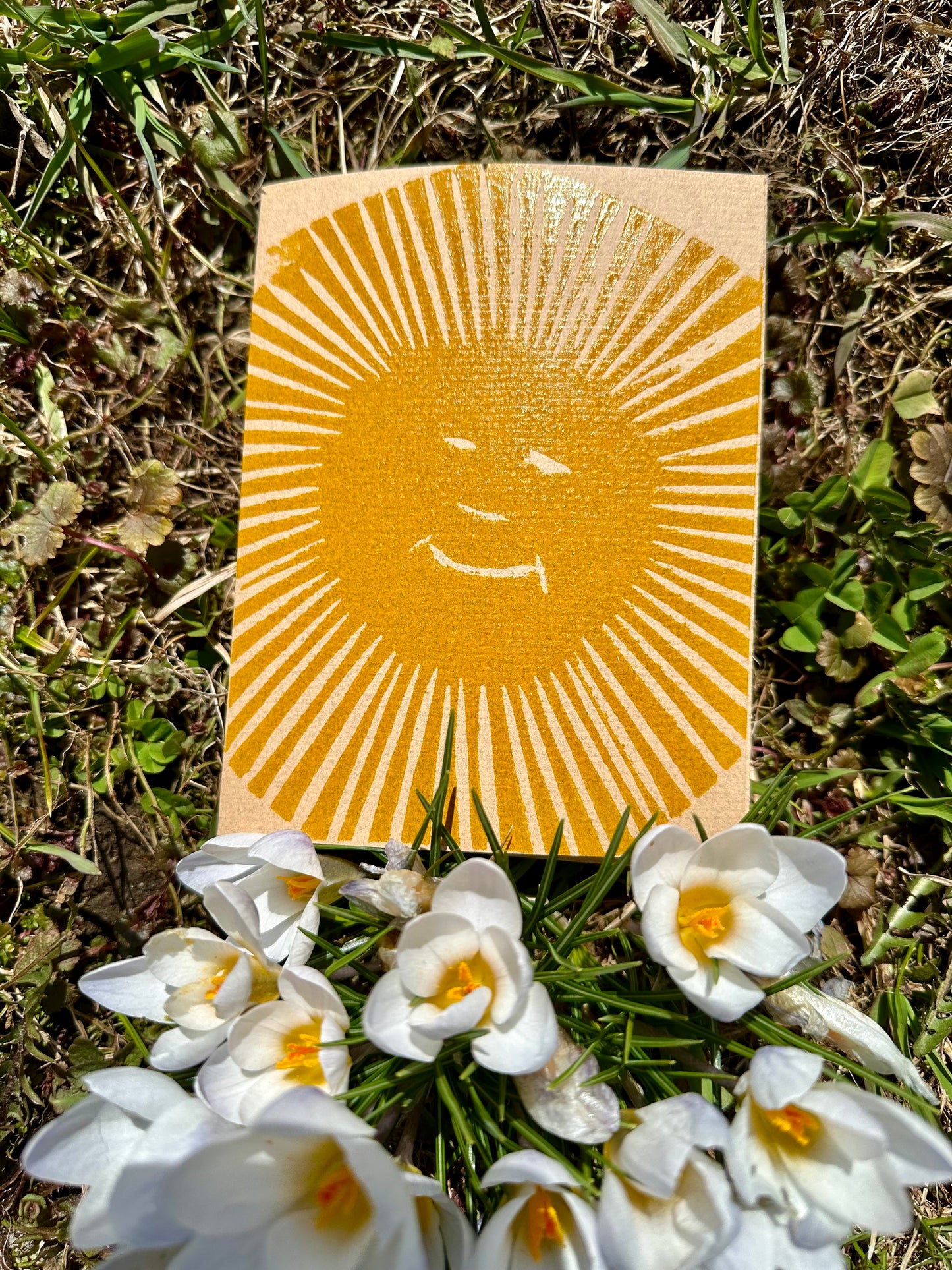 Sun Cards