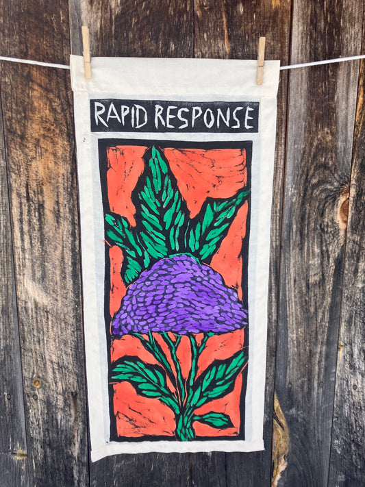 Rapid Response Purple Cauliflower