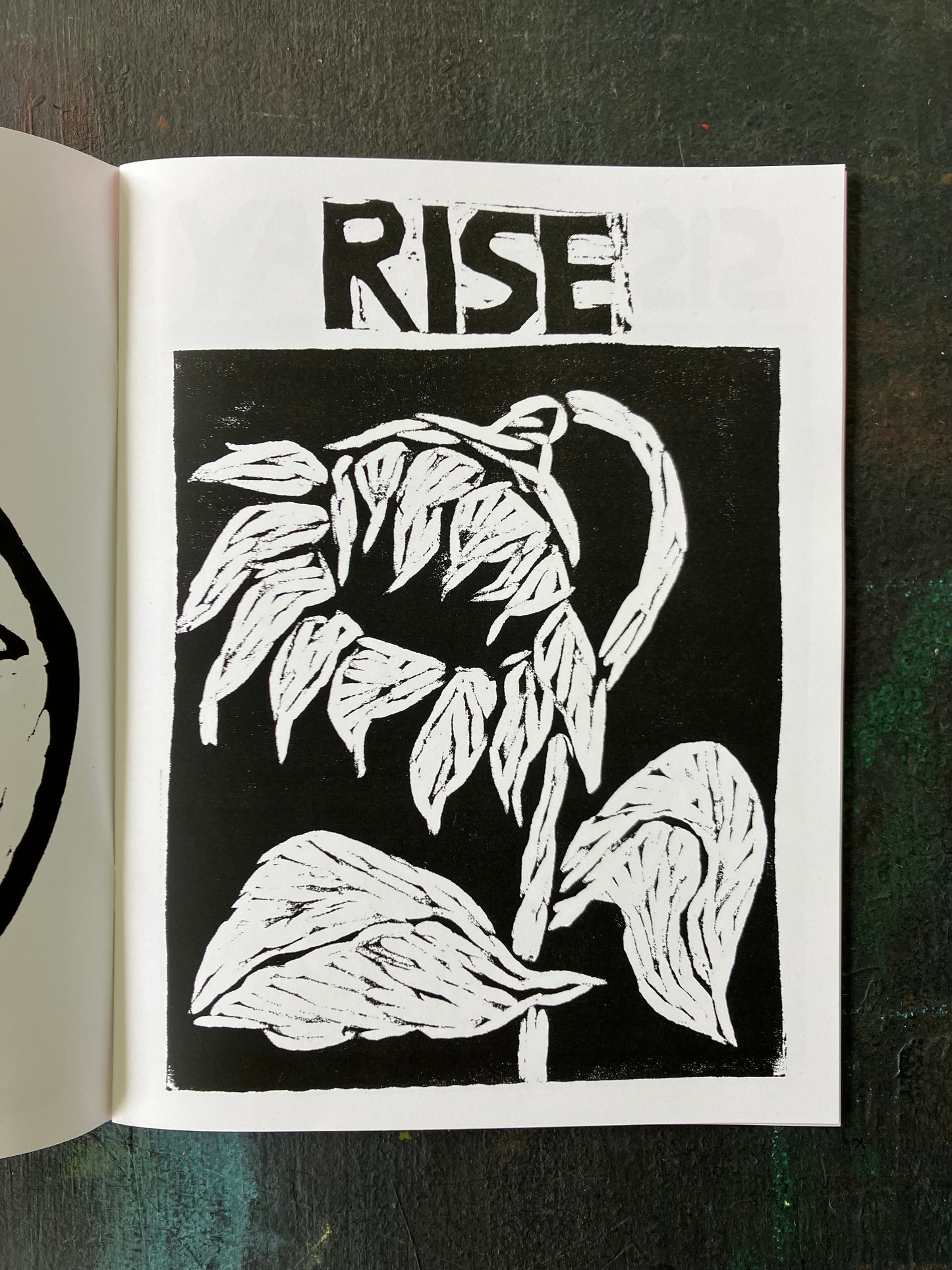 Bread and Puppet Flower Coloring Book