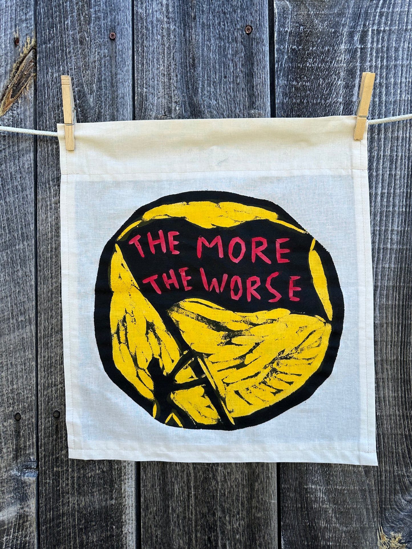 The More The Worse