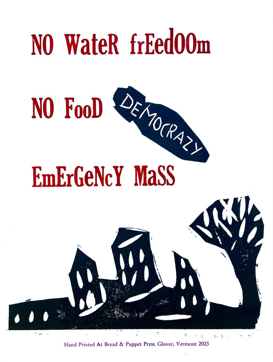 Emergency Mass Poster