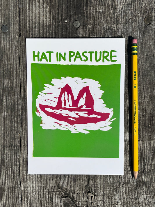 Hat In Pasture