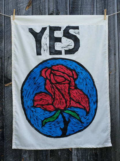 Big Yes Rose