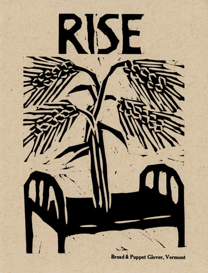 Rise Bed postcard