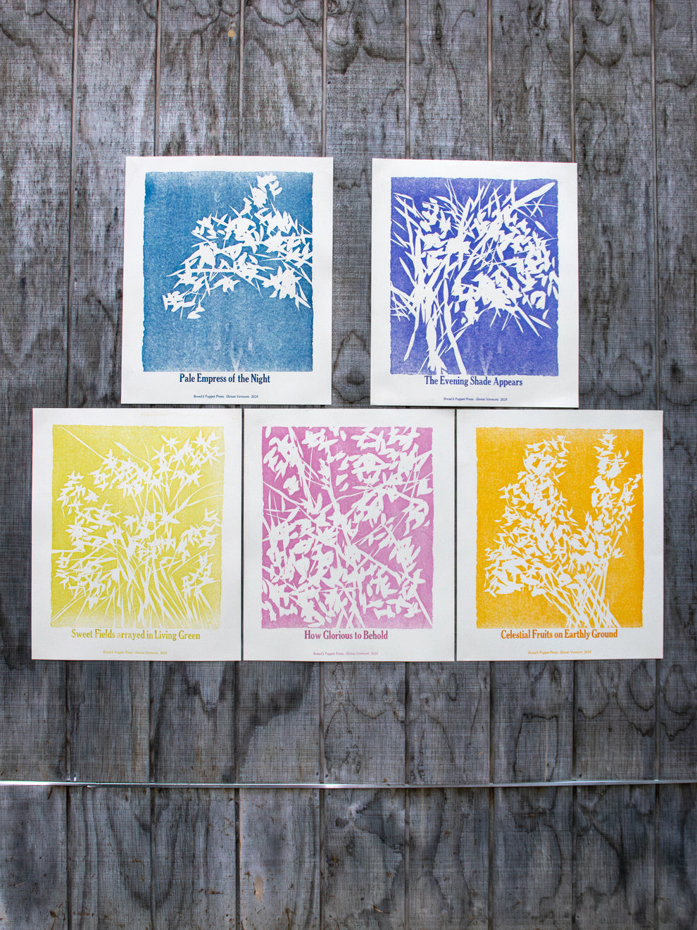 Shape Note Series 2024 Edition – Bread + Puppet Press