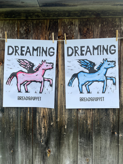 Dreaming Pony