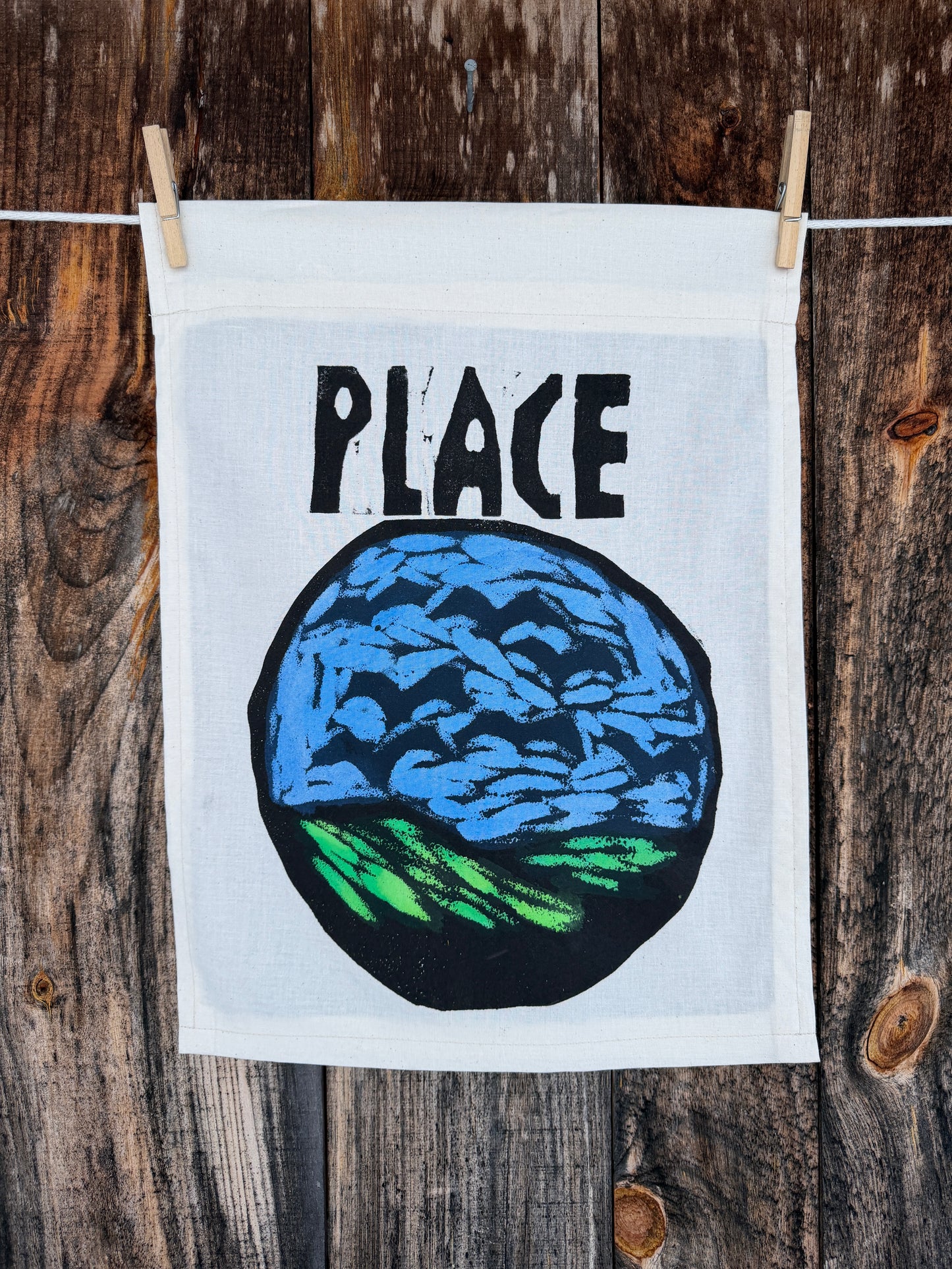 Place Birds in the Sky