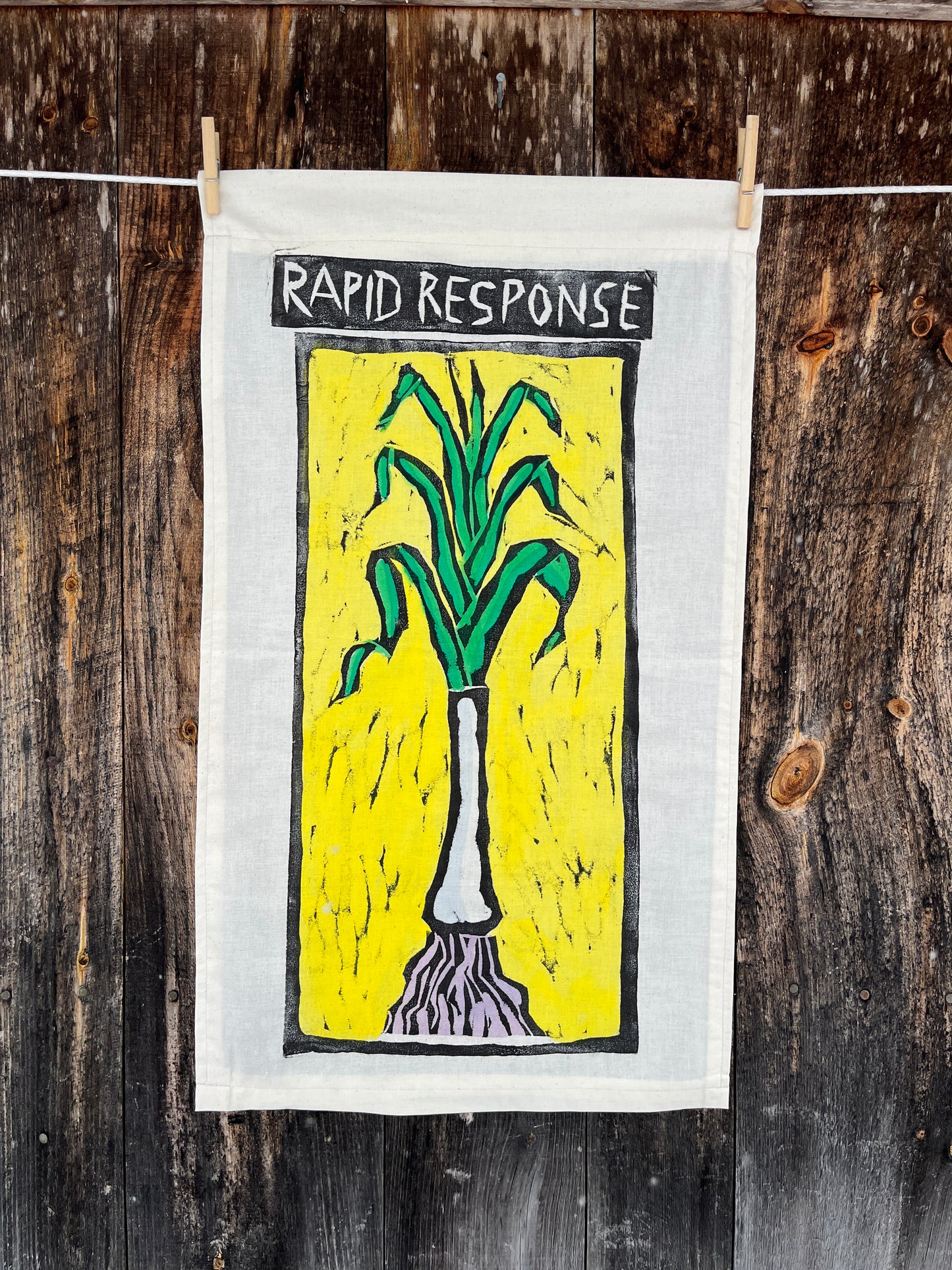 Vegetable Series: Leek