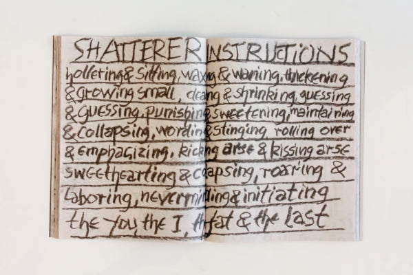 Shatterer Book