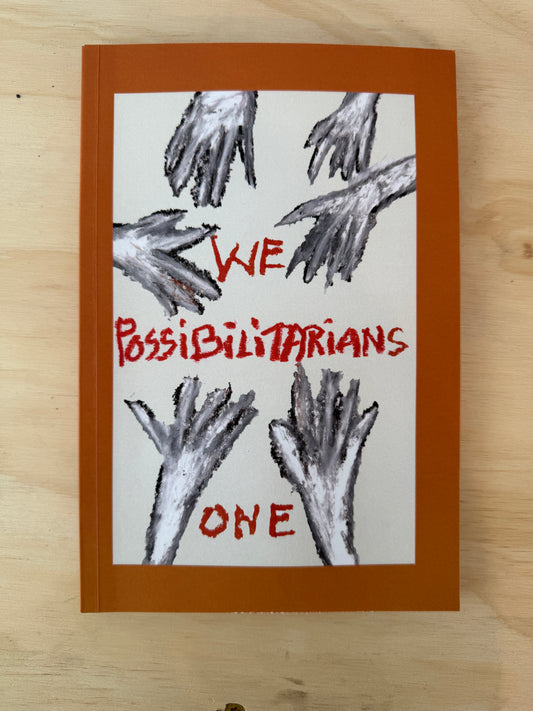 We Possibilitarians - 1