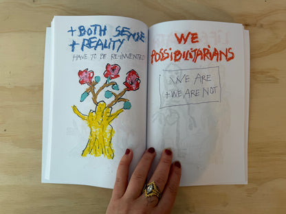 We Possibilitarians - 1