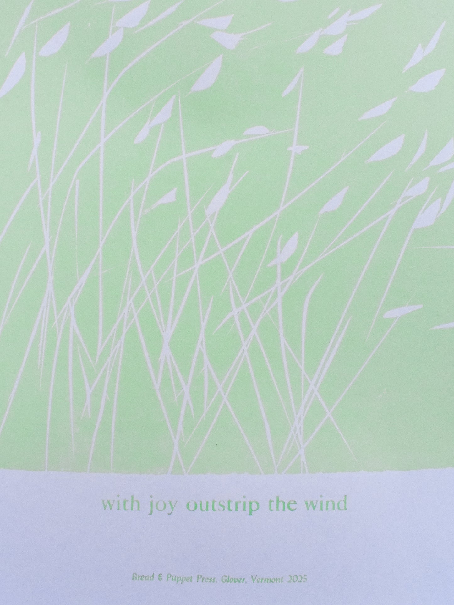 with joy outstrip the wind